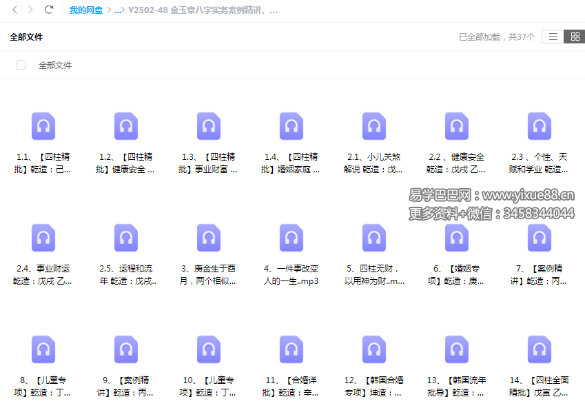 金玉章八字实务案例精讲、四柱精批 28集音频-真传国学