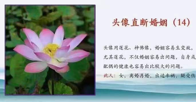 图片[6]-拂尘子 妙断微信头像直断财运、健康、婚姻、性格视频4集 百度网盘下载-真传国学