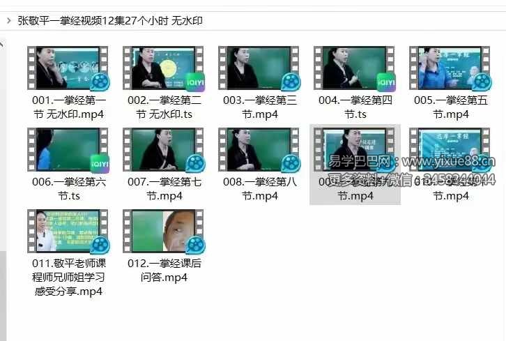 图片[8]-张敬平一掌经12集-真传国学