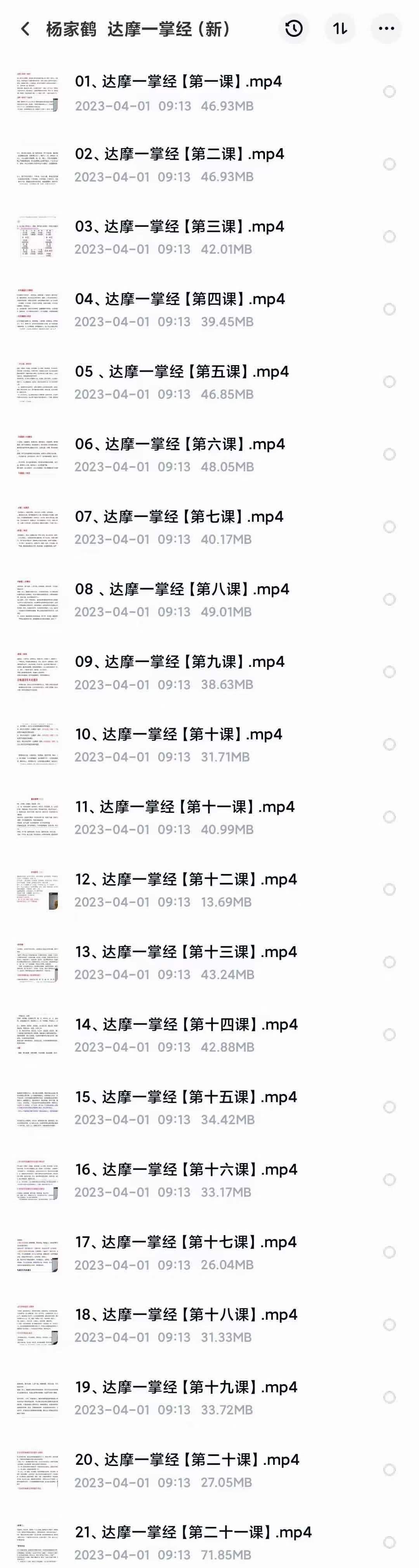 图片[2]-杨家鹤《达摩一掌经》视频课程21集-真传国学