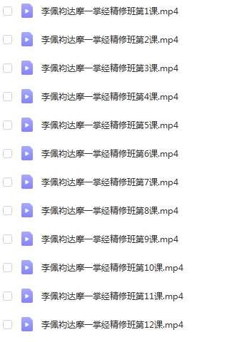 李佩袀达摩一掌经精修班直播12节-真传国学