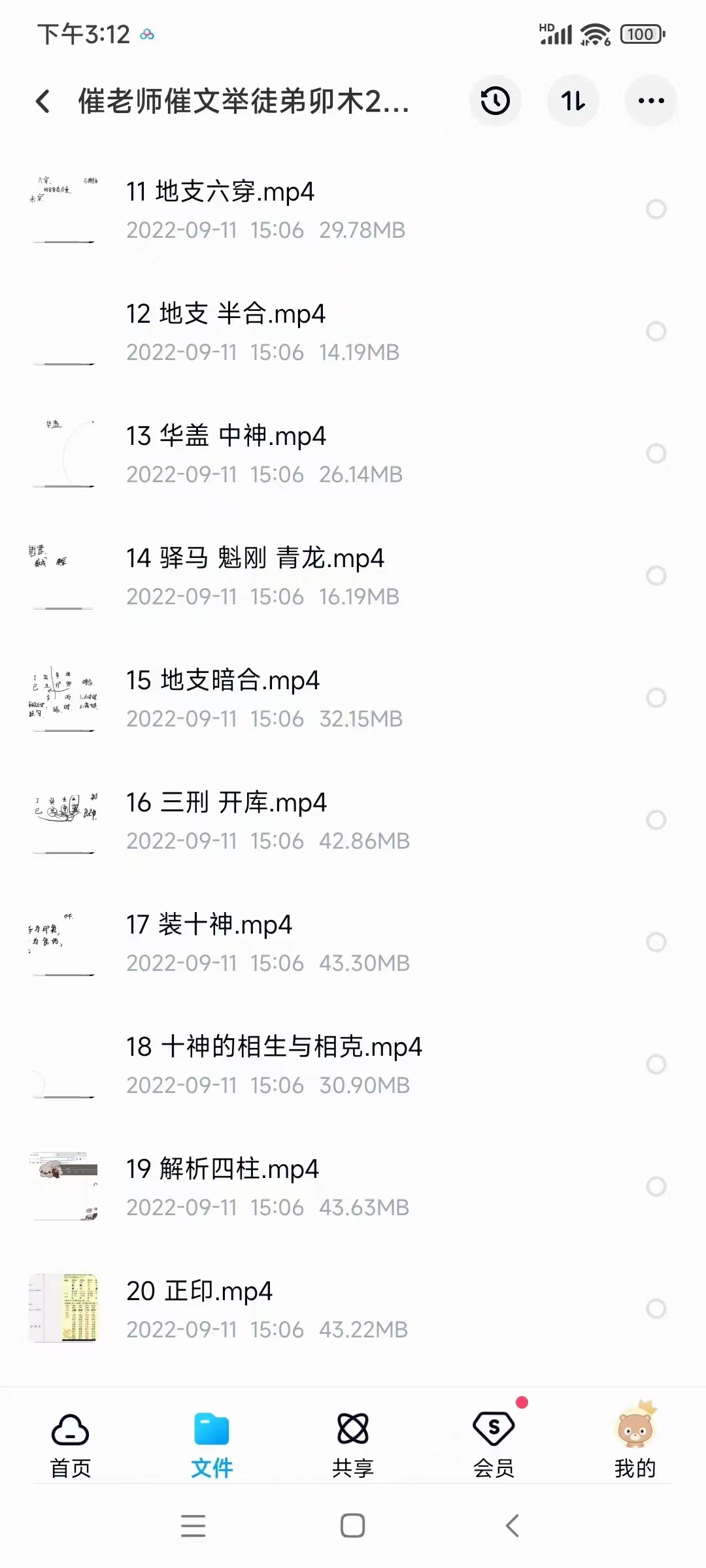 图片[2]-2022年 催老师催文举徒弟卯木盲派命理基础课程视频28集 百度网盘下载-真传国学