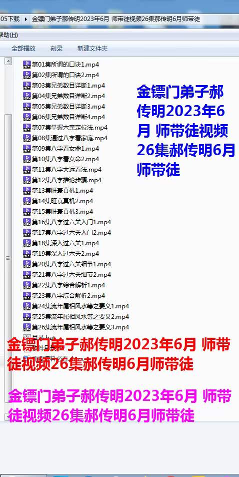 金镖门盲派老人参 郝传明6月师带徒26集-真传国学