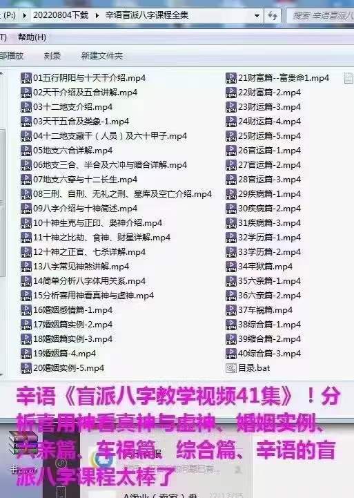 辛语盲派八字课程全集41集-真传国学