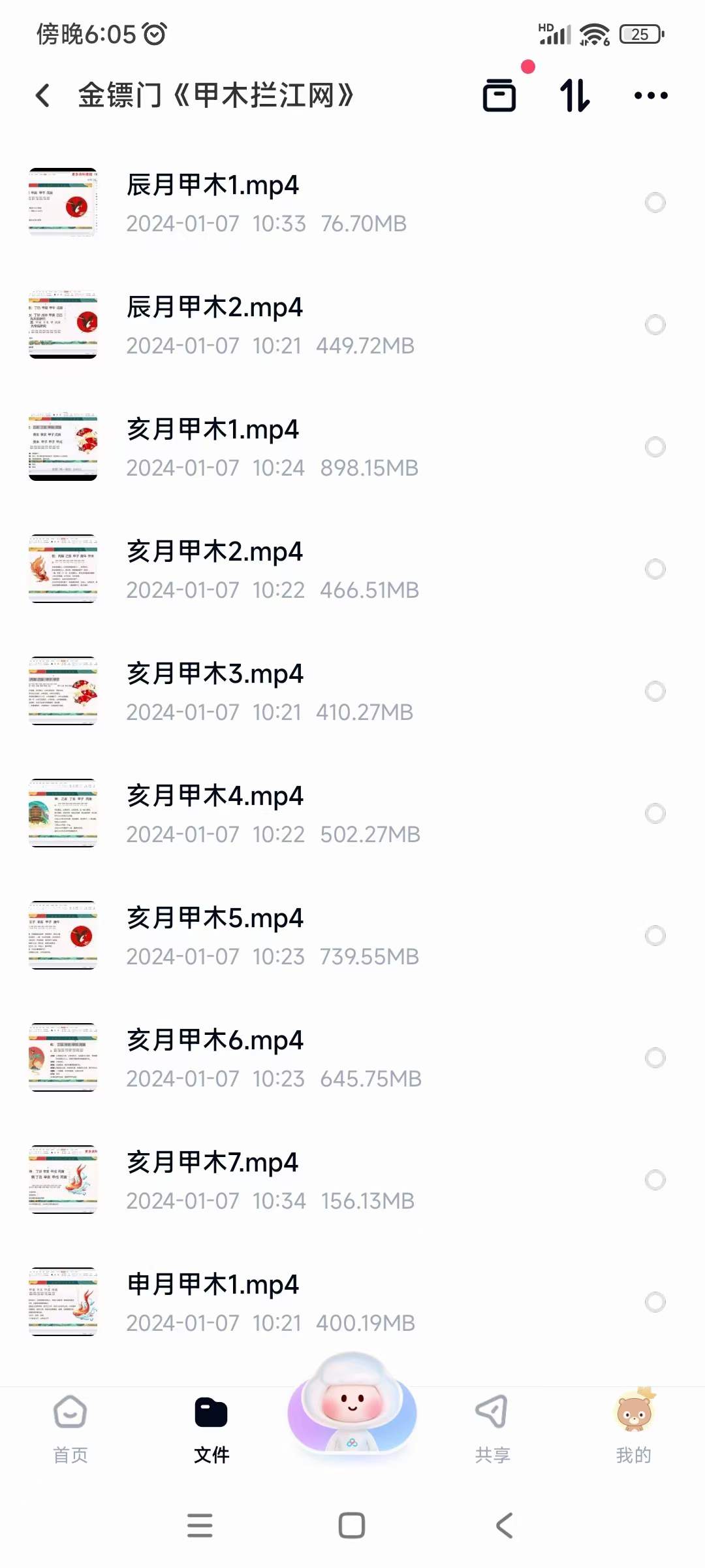 金镖门《甲木拦江网》29集-真传国学