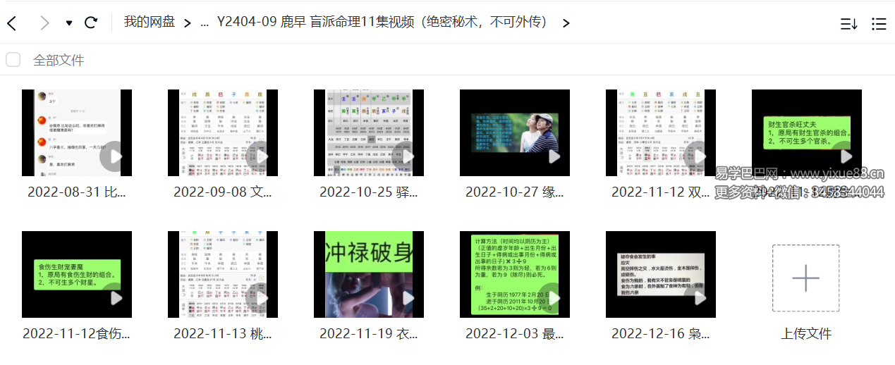 鹿早 盲派命理11集视频（绝密秘术，不可外传）-真传国学