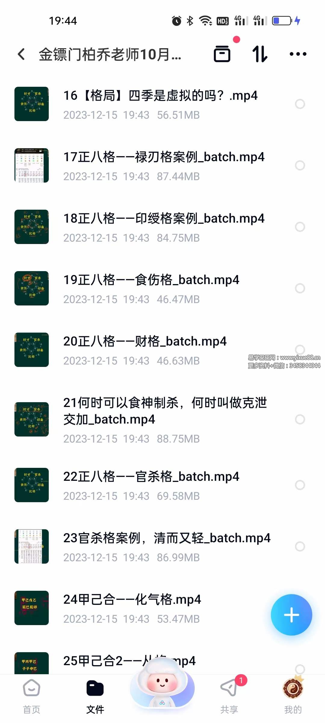 金镖门柏乔老师最新课程 深度基础15集-真传国学