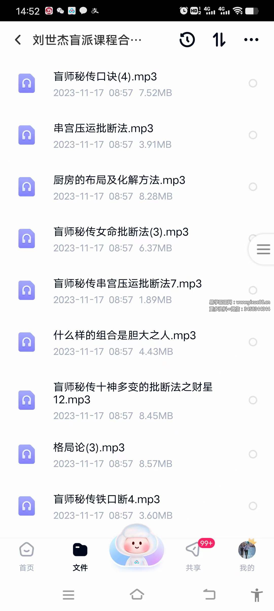 刘世杰盲派课程合集109节-真传国学