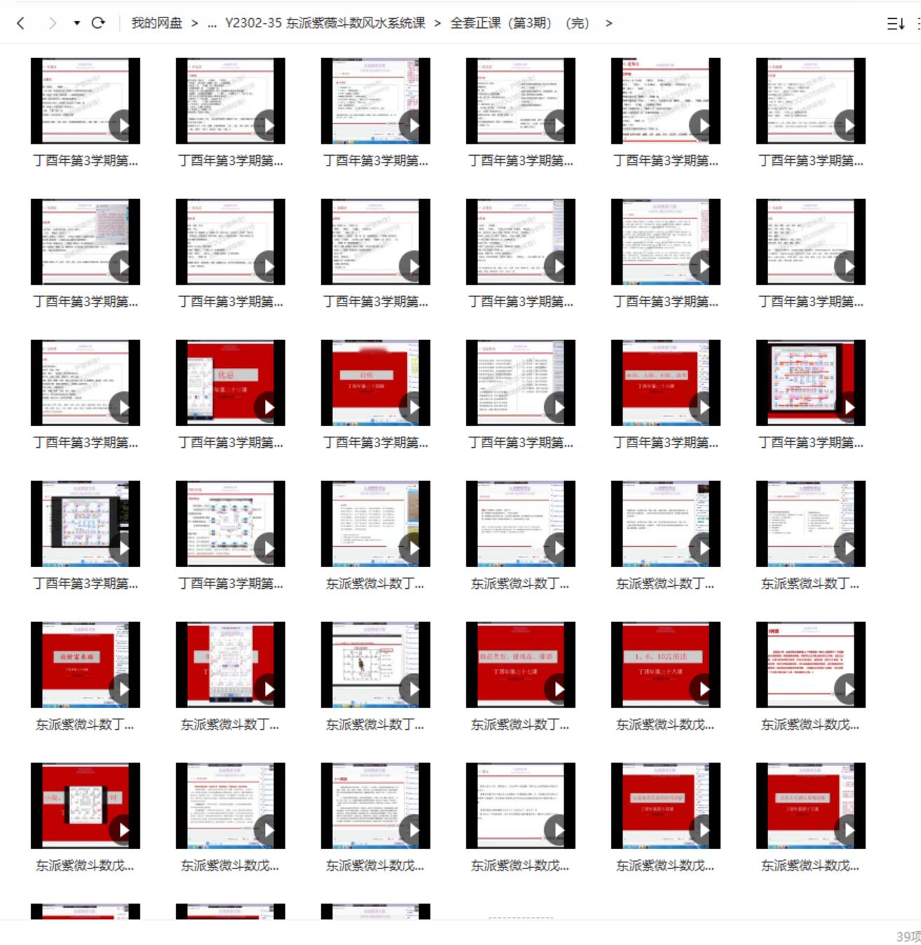王星东 东派紫薇斗数风水系统课视频接近80个小时+数套教程！ 夸克网盘下载-真传国学