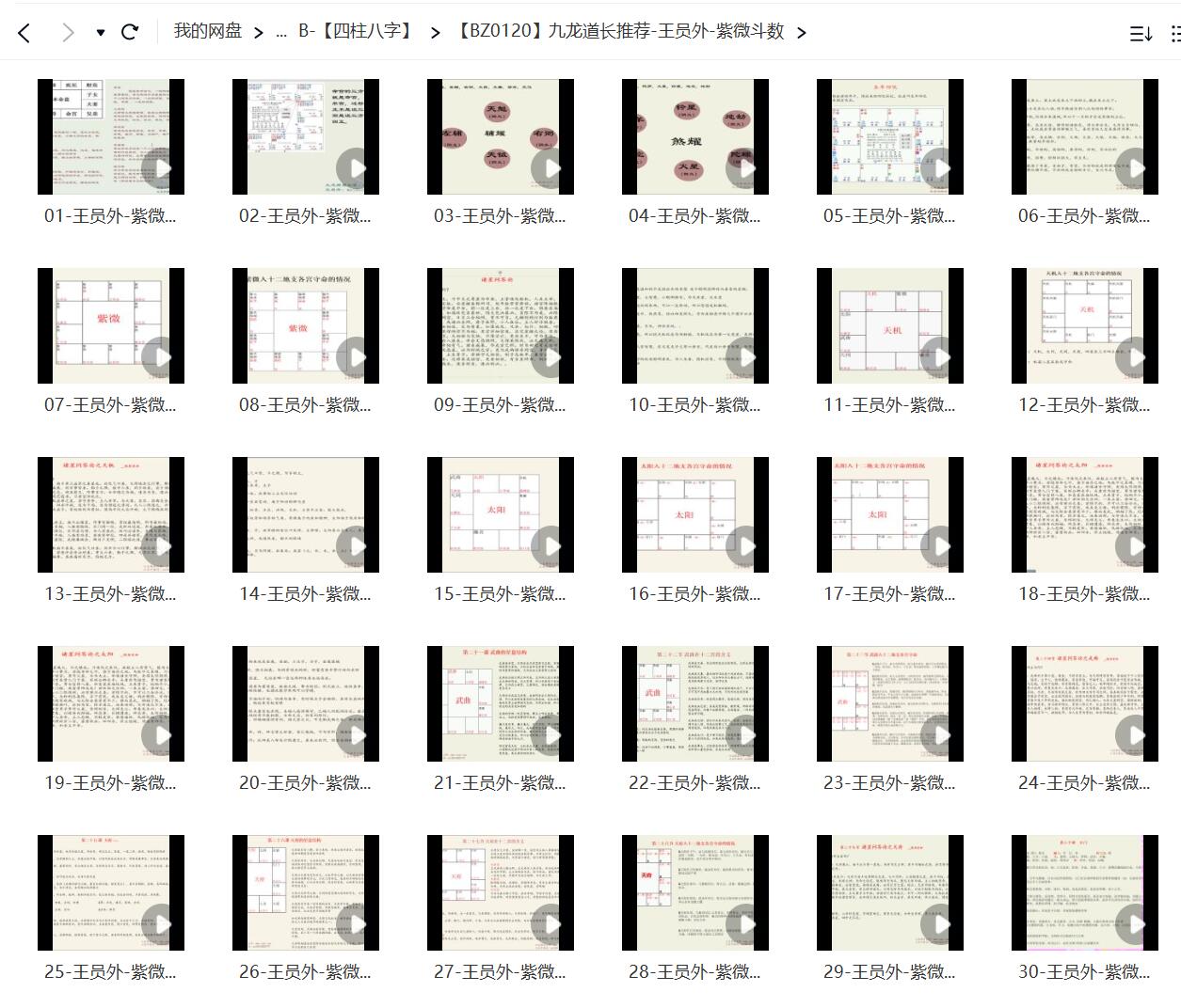 图片[2]-九龙道长推荐 王员外 紫微斗数课程40集视频-真传国学