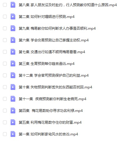 徐炳昕梅花易数中级班12集-真传国学