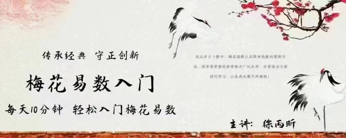 徐丙昕梅花易数入门视频26集-真传国学