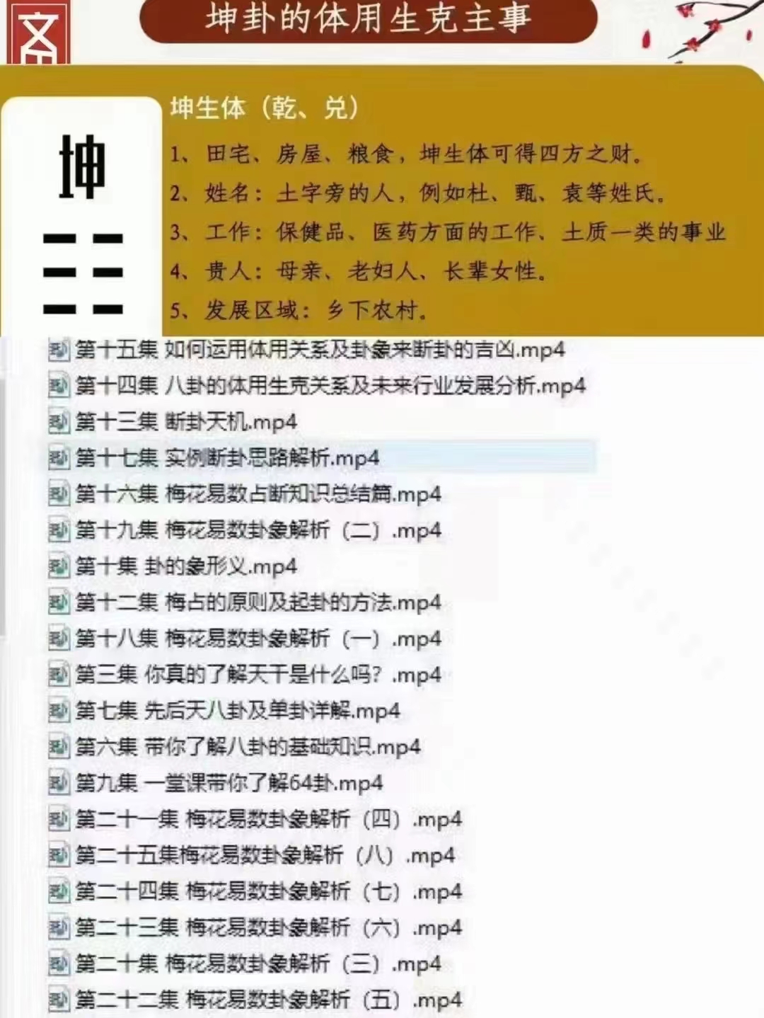 图片[3]-徐丙昕梅花易数入门视频26集-真传国学