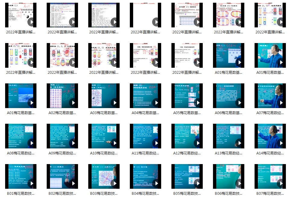 仙扑门最新《梅花易数》全集57集视频 百度云下载！-真传国学