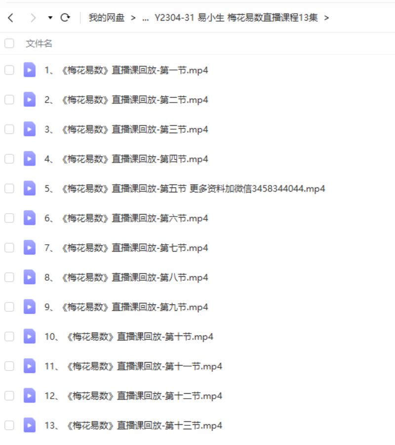 易小生 梅花易数直播课程13集-真传国学