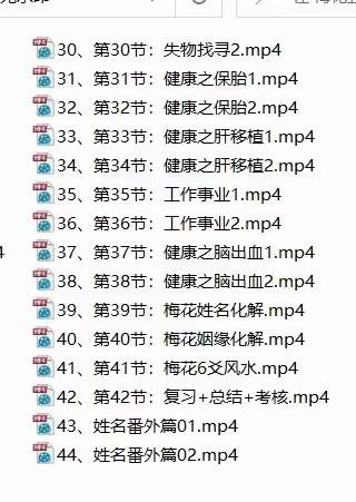 图片[2]-梅花五瓣开《梅花系统课》44集-真传国学