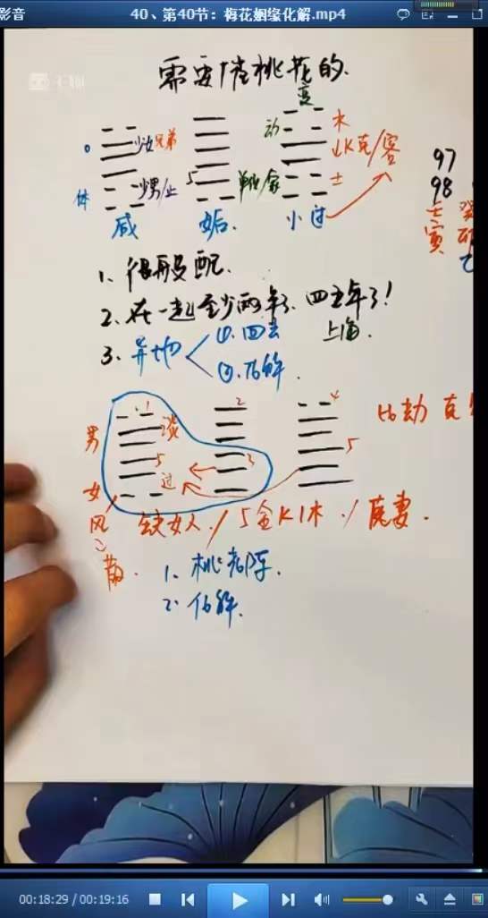 图片[9]-梅花五瓣开《梅花系统课》44集-真传国学