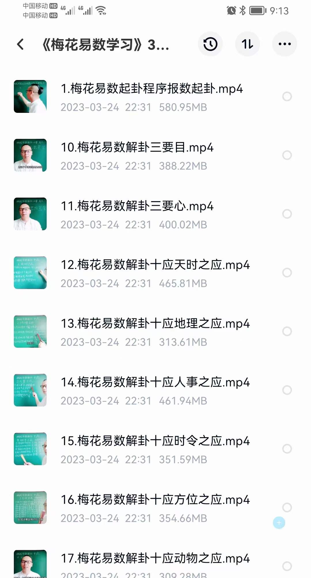 2023《梅花易数学习》课程30集视频-真传国学