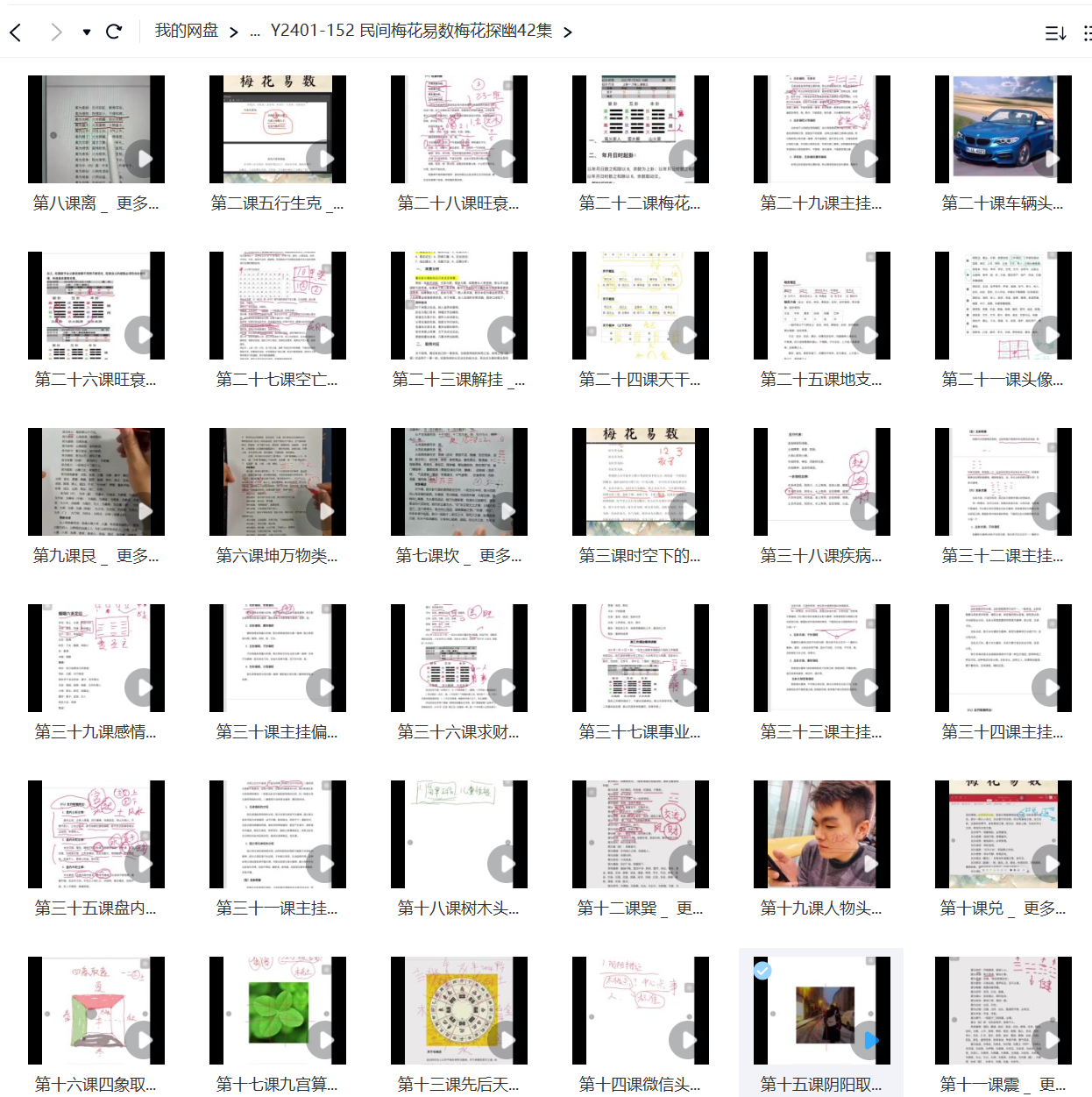 民间梅花易数梅花探幽42集-真传国学