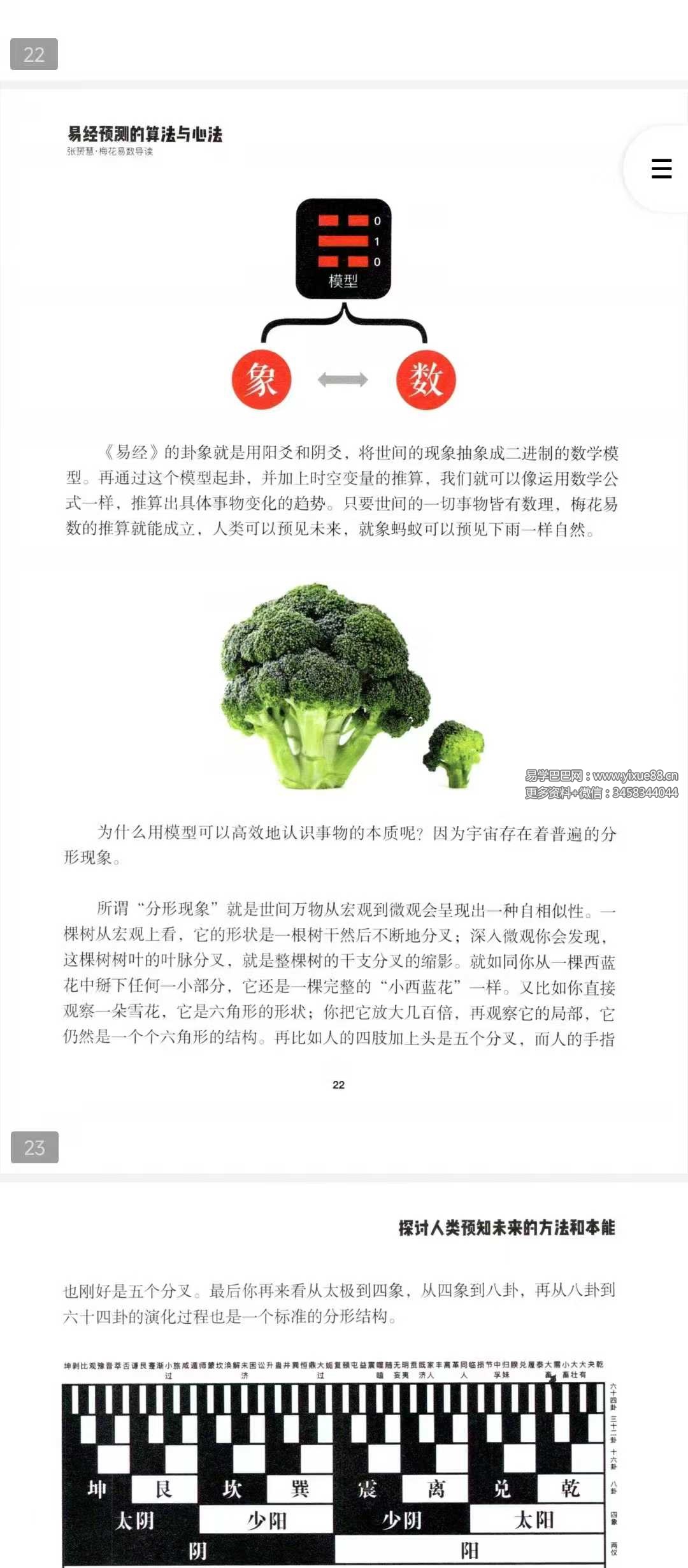 图片[6]-张赟慧 人生算法课《梅花易数导读》易经预测的算法与心法-真传国学