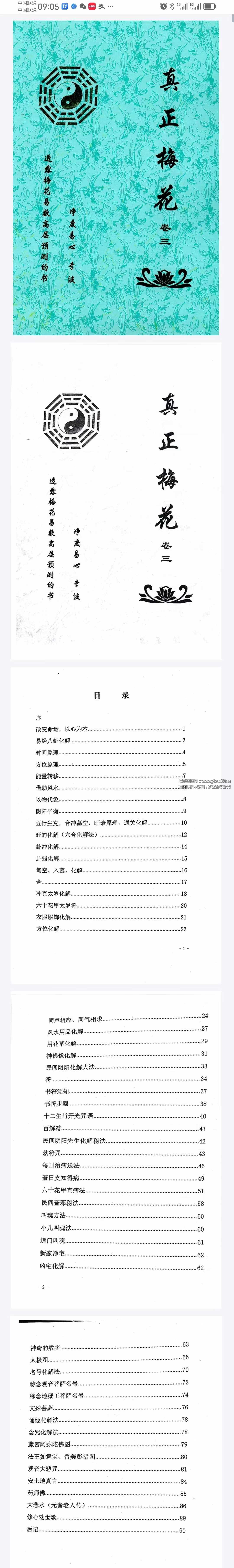 图片[4]-净度易心 李液《真正梅花》《阴阳梅花》-真传国学