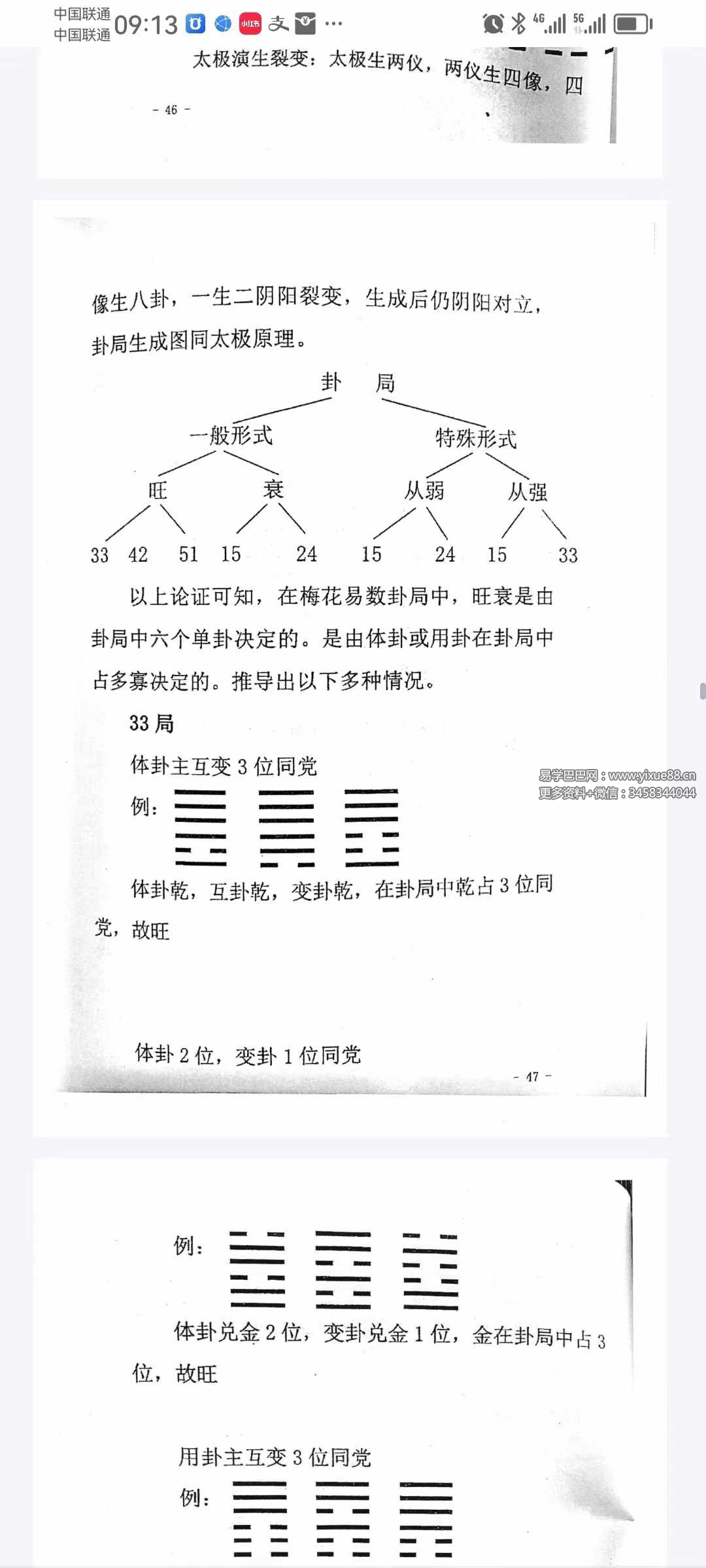 图片[7]-净度易心 李液《真正梅花》《阴阳梅花》-真传国学