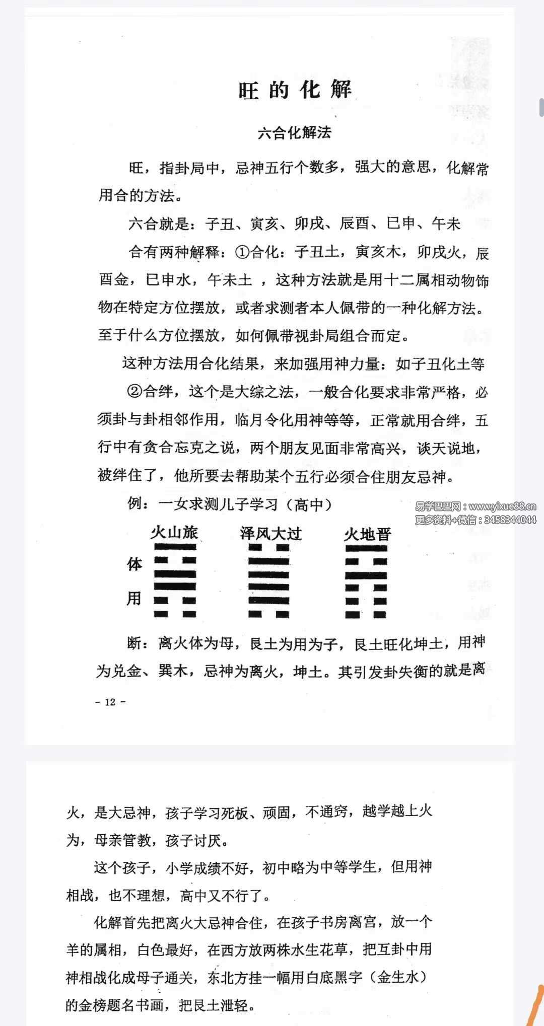 图片[9]-净度易心 李液《真正梅花》《阴阳梅花》-真传国学