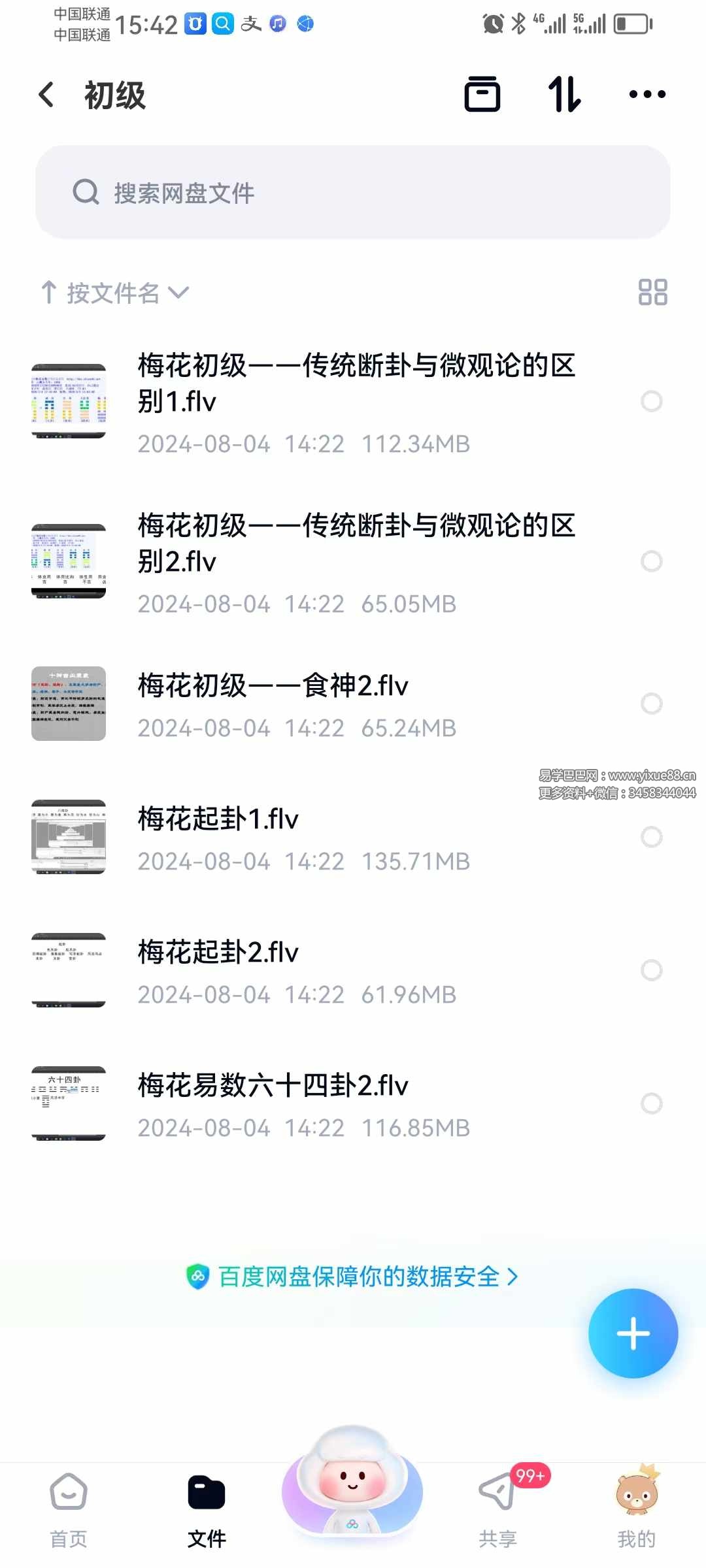 图片[2]-梅花易数微观论40集 基础到高级（跟传统梅花不同，注重十神干支作用）-真传国学