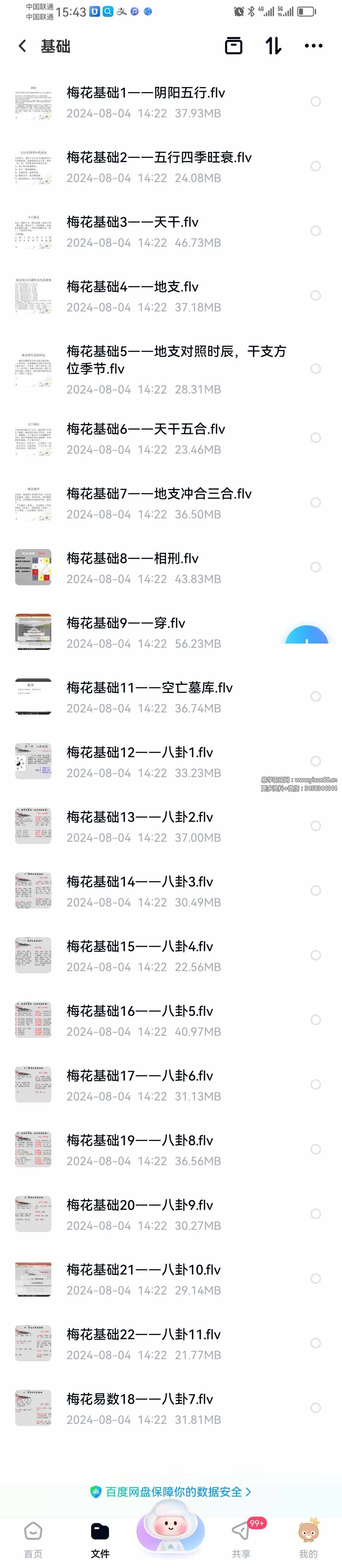 图片[3]-梅花易数微观论40集 基础到高级（跟传统梅花不同，注重十神干支作用）-真传国学