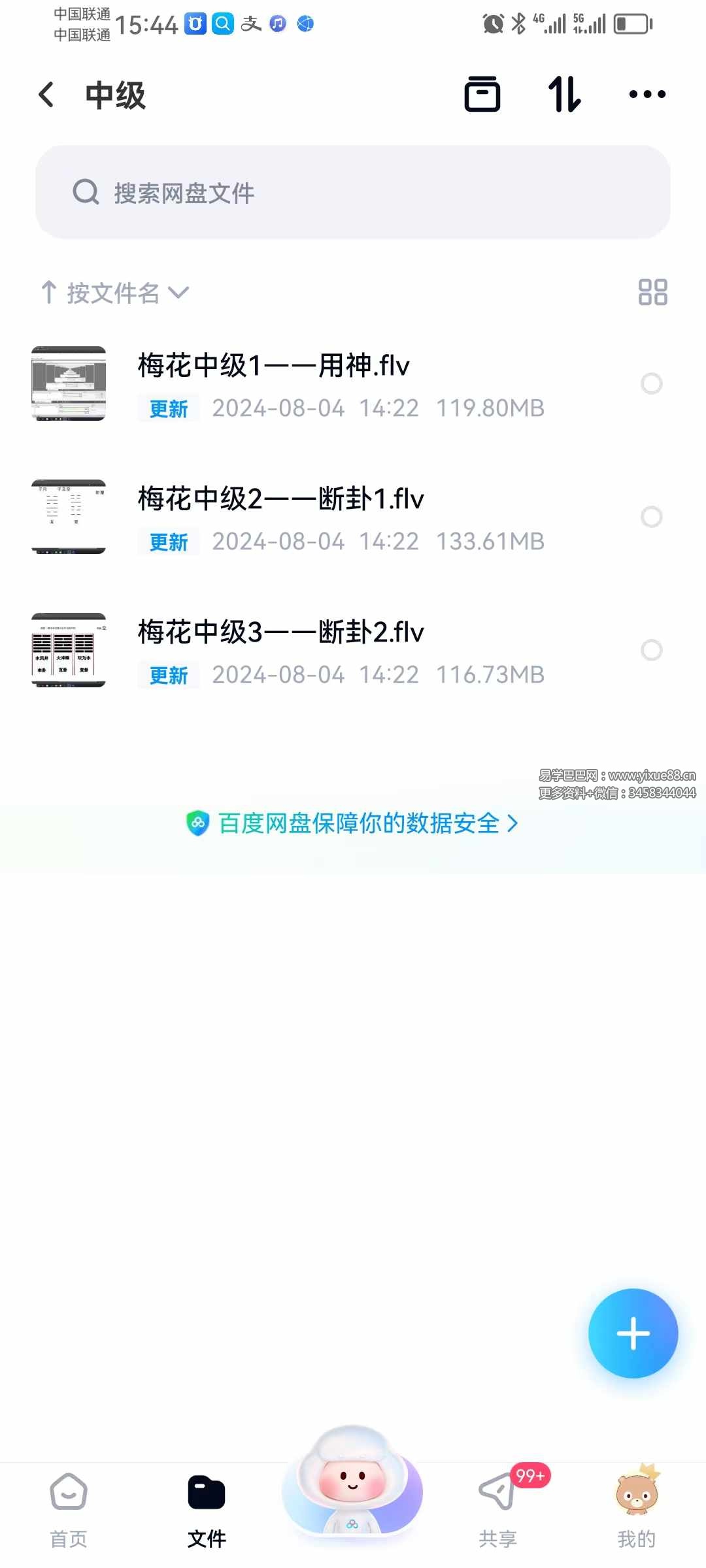 图片[4]-梅花易数微观论40集 基础到高级（跟传统梅花不同，注重十神干支作用）-真传国学