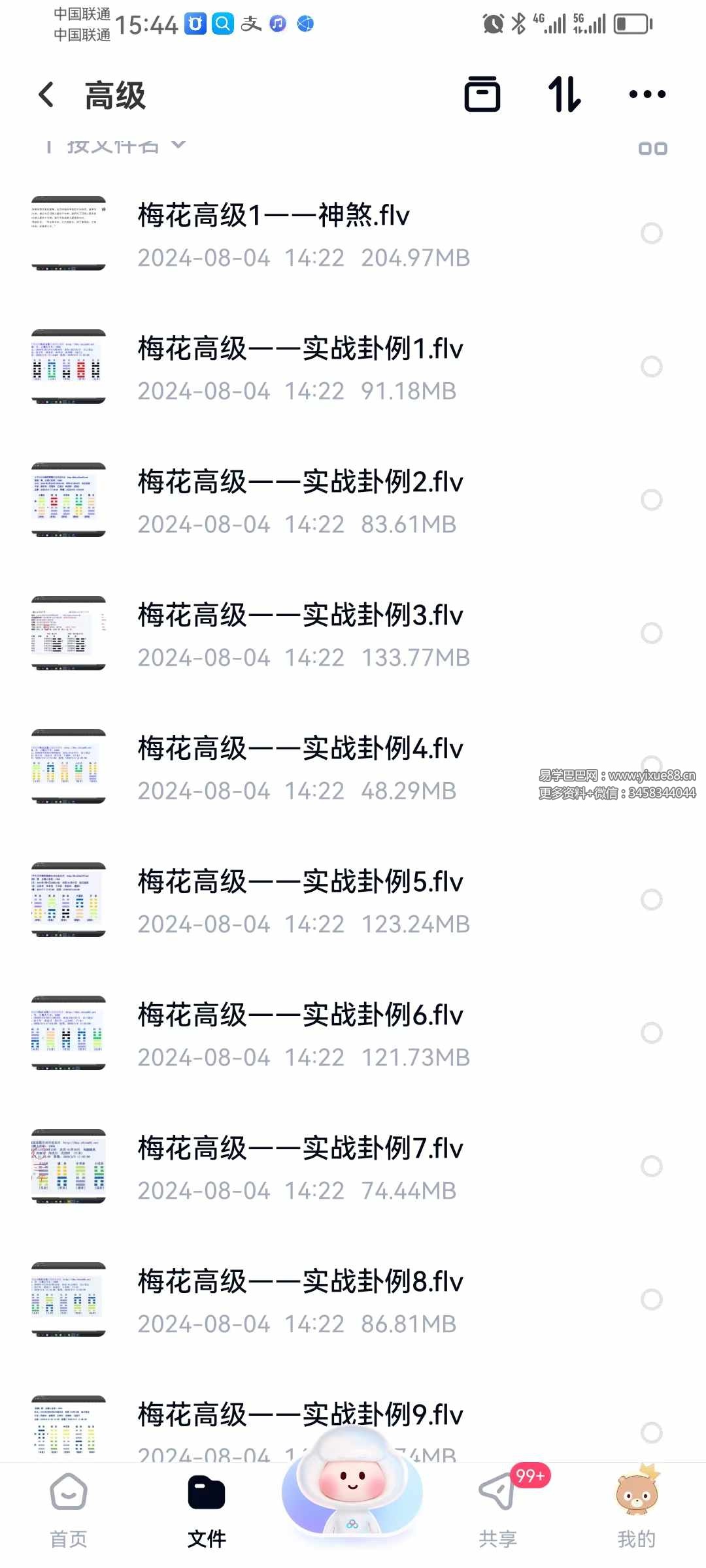 图片[5]-梅花易数微观论40集 基础到高级（跟传统梅花不同，注重十神干支作用）-真传国学