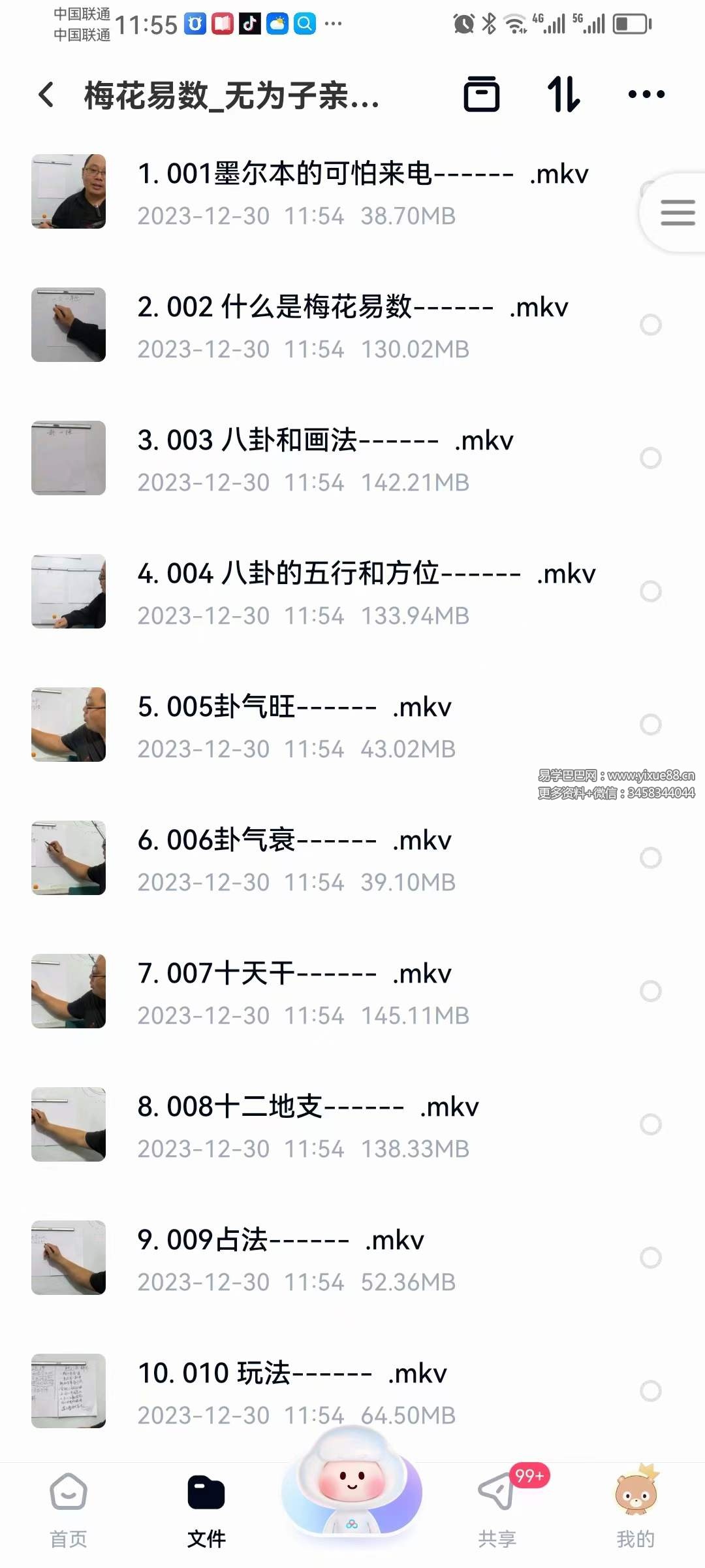 图片[2]-无为子亲授 中国玄术梅花易数弟子班49集-真传国学