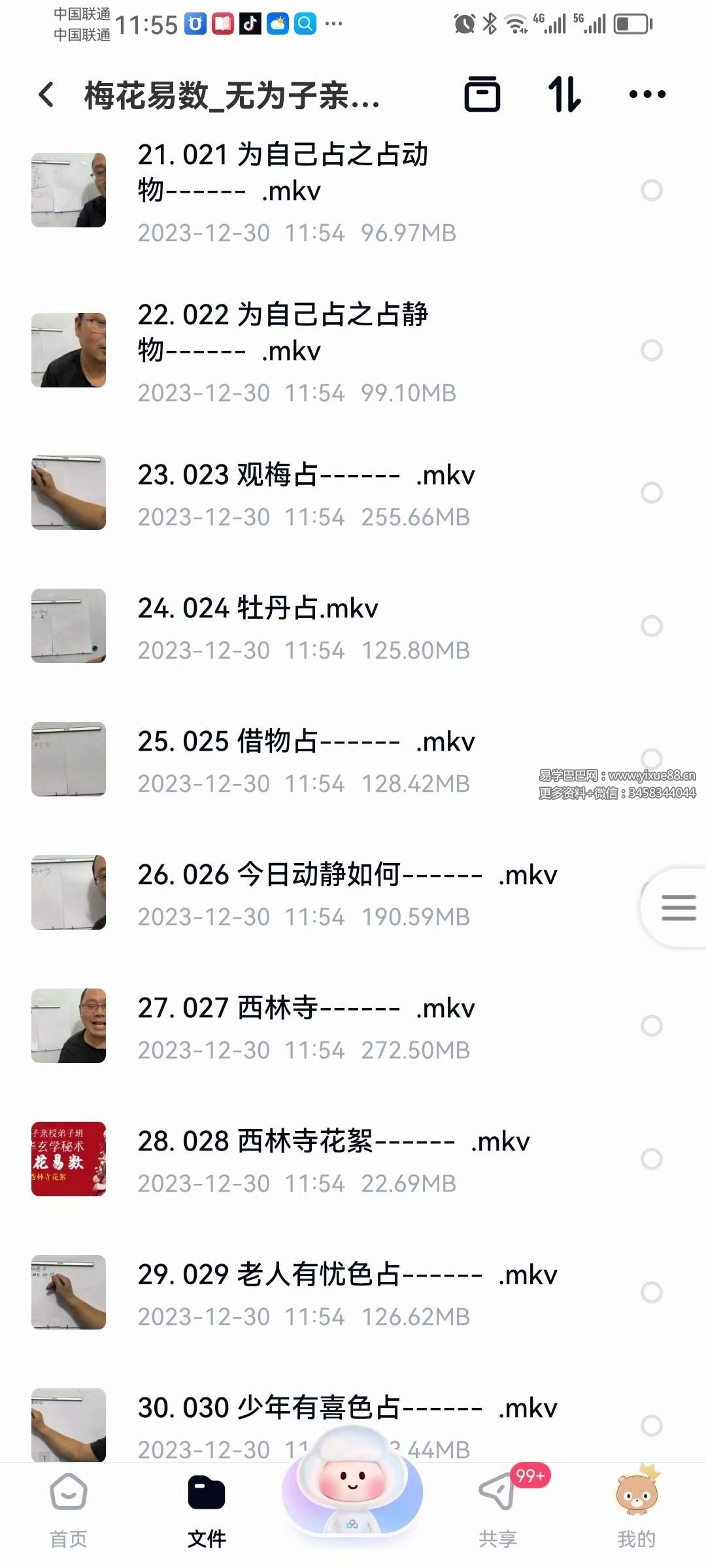 图片[4]-无为子亲授 中国玄术梅花易数弟子班49集-真传国学