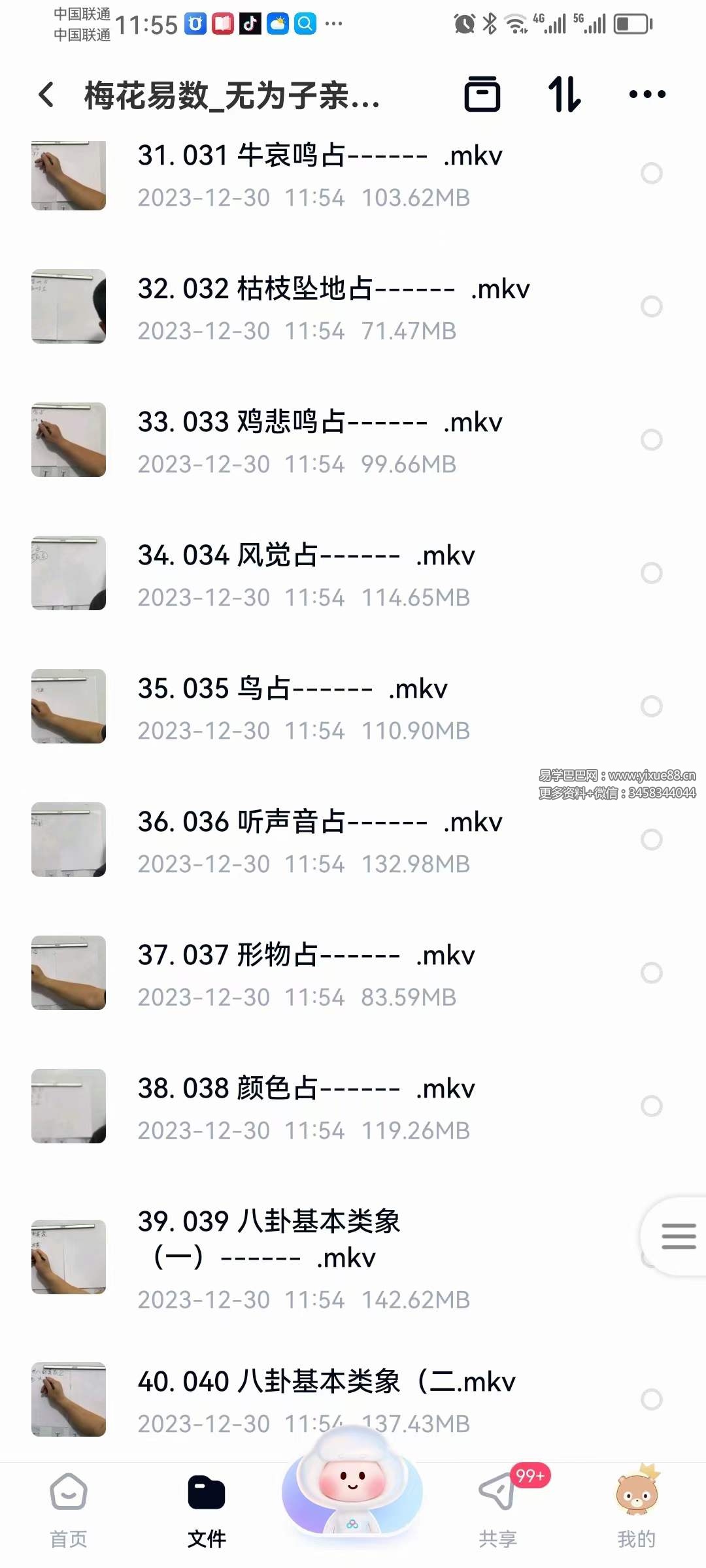 图片[5]-无为子亲授 中国玄术梅花易数弟子班49集-真传国学