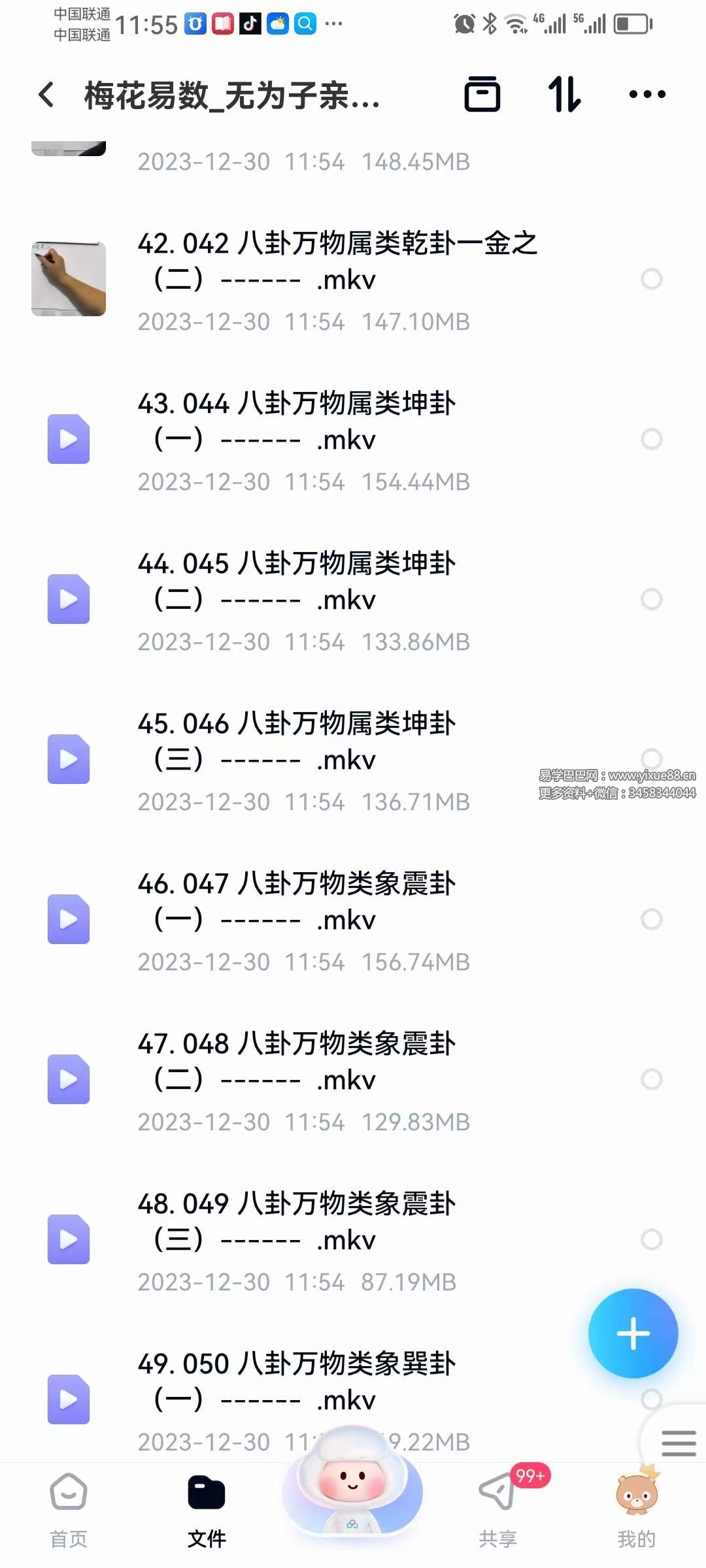 图片[6]-无为子亲授 中国玄术梅花易数弟子班49集-真传国学