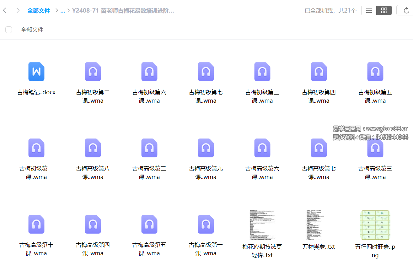苗老师古梅花易数培训进阶课程音频讲义 含古梅初级+高级课程-真传国学
