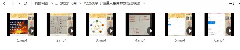 于城道人生肖神数高清视频6集（约6小时）-真传国学
