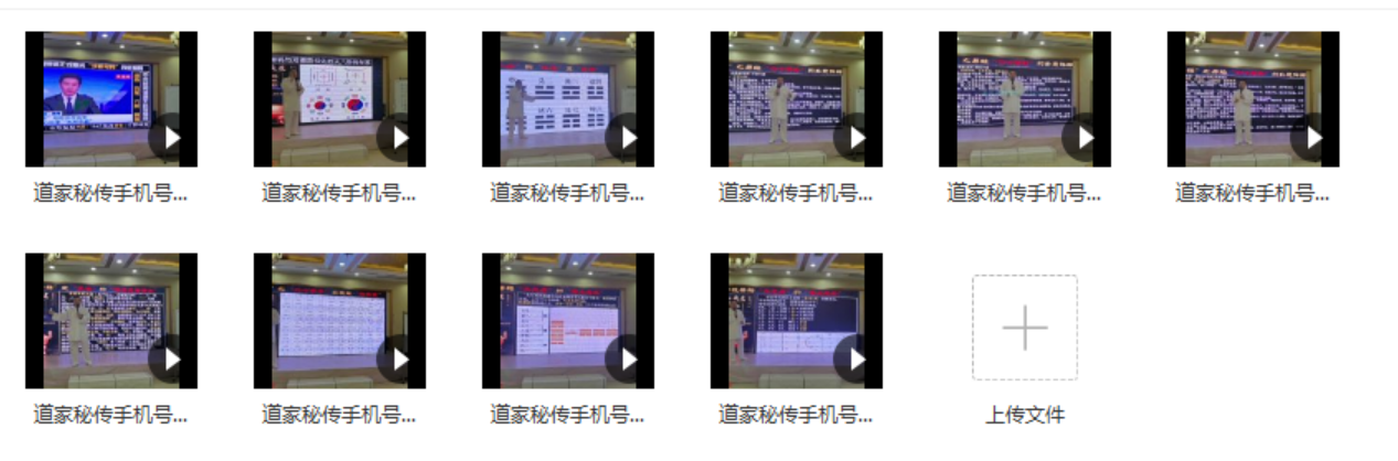 谷晟阳道家秘传手机号码预测进阶课程 10集 百度网盘下载-真传国学