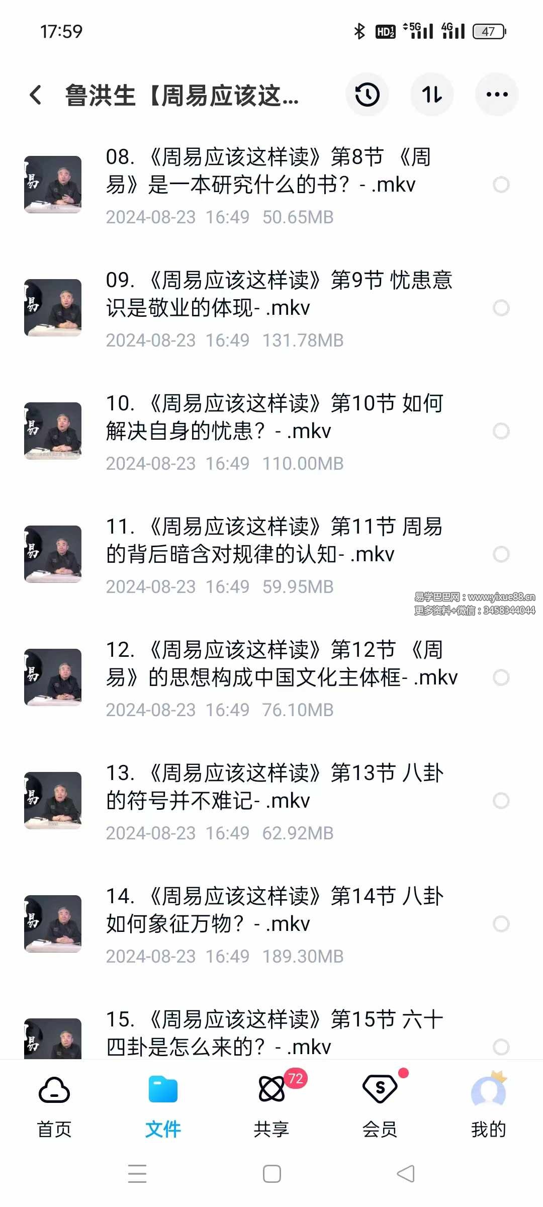 图片[2]-鲁洪生【周易应该这样读】33集系统解读 0基础可学 预测必学-真传国学
