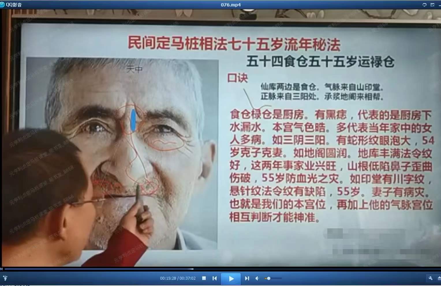 图片[3]-民间定马桩相法高级班最新版79集 百度网盘下载-真传国学