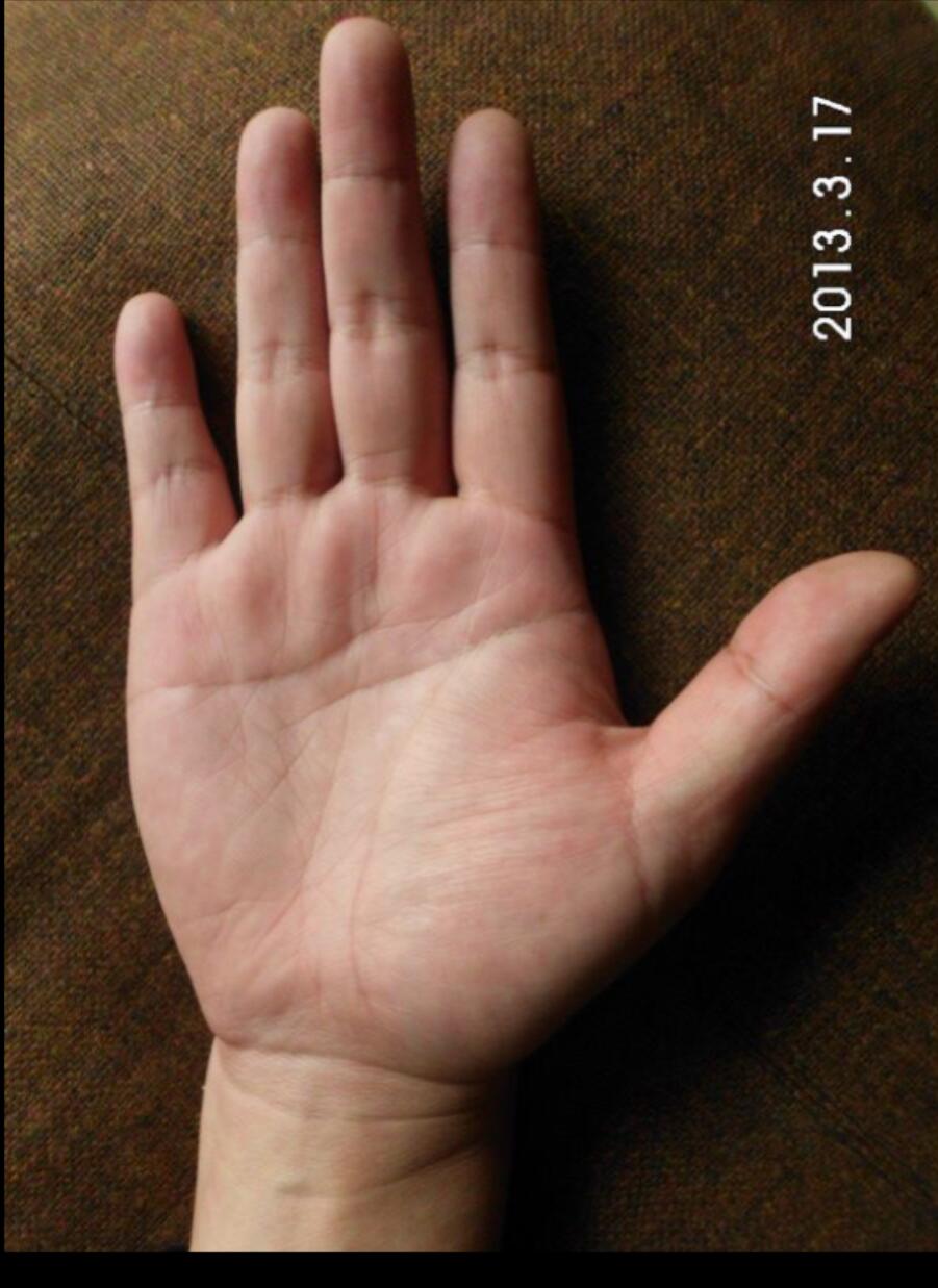 赵洪鹏手相案例70例资料-真传国学