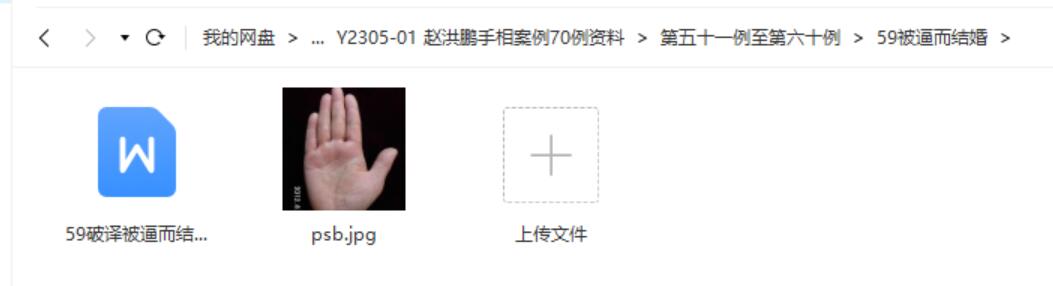 图片[2]-赵洪鹏手相案例70例资料-真传国学