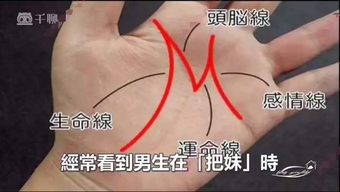 图片[2]-传统手相结合西方占星理论47集 零基础入门到精通 真人案例-真传国学