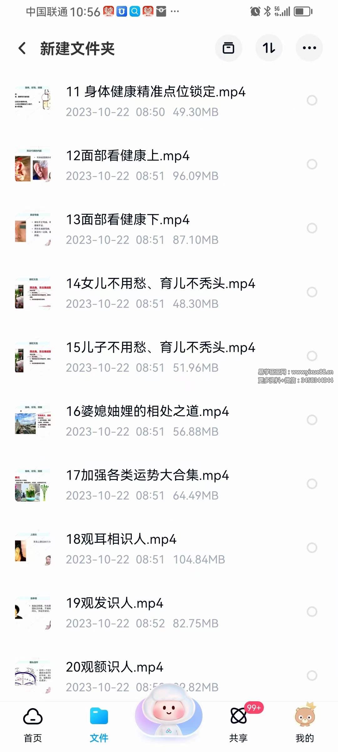 图片[2]-何曼宁得易老师面相识人文化课27节+5节-真传国学