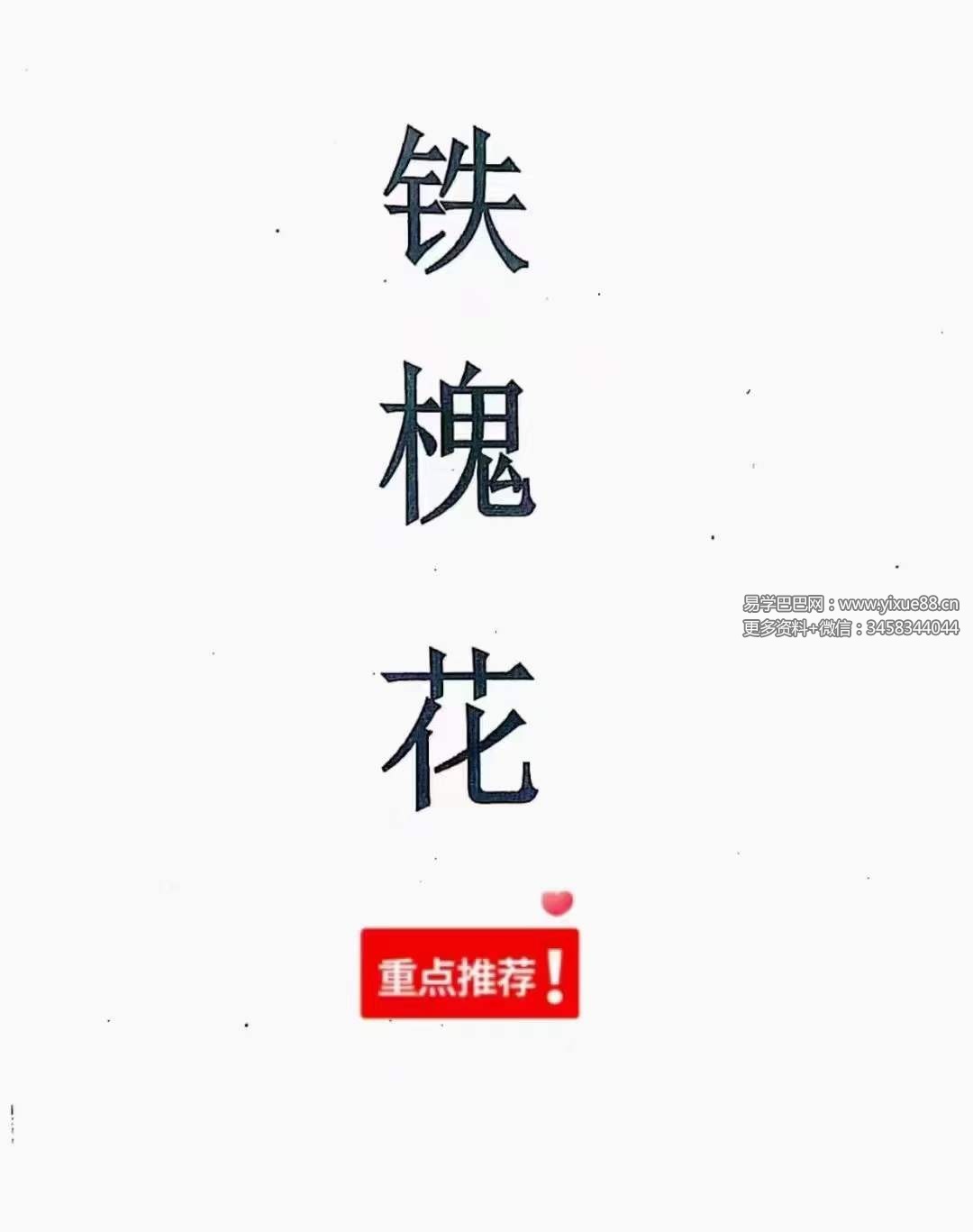 安徽相法《铁槐花》上册+下册-真传国学