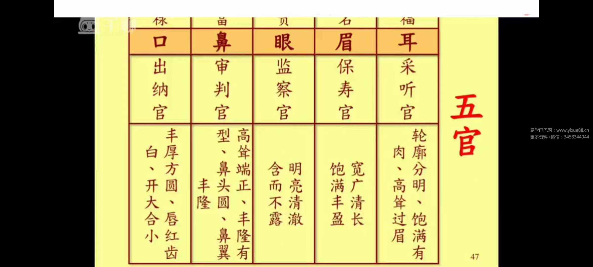 辛月《慧眼识人相法》34集-真传国学