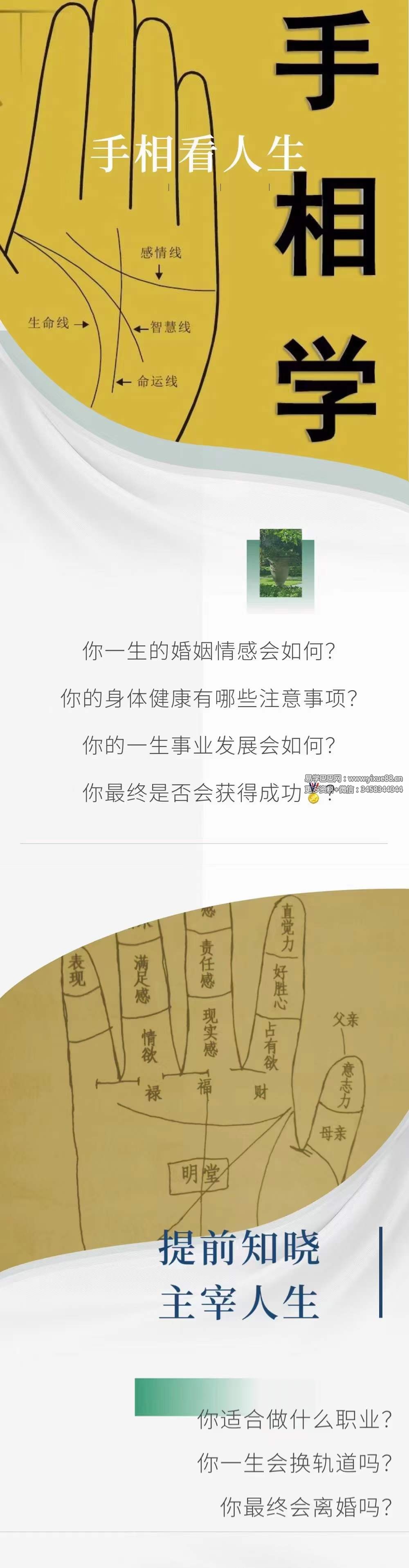 图片[2]-姜鲁宜《手相大师班》视频30节-真传国学