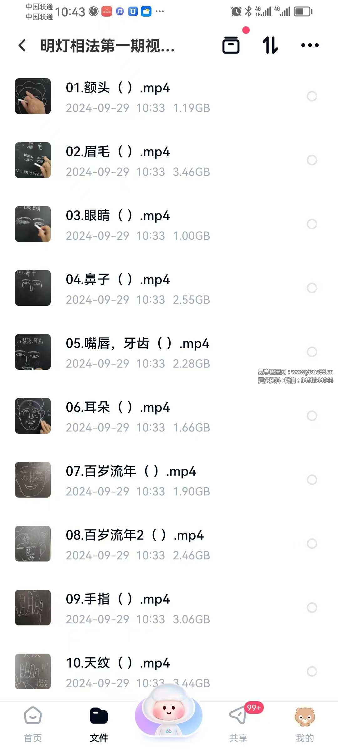 明灯相法【第一期】12集视频+课件-真传国学