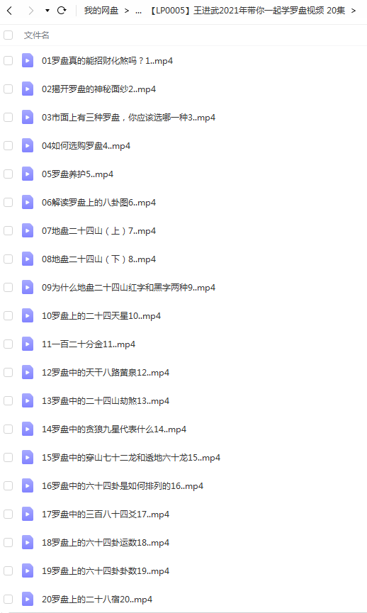 王进武2021年带你一起学罗盘视频 20集-真传国学
