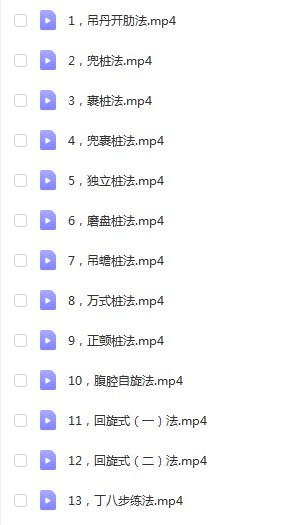 太极浮屠混元桩13集视频+资料 百度云下载！-真传国学